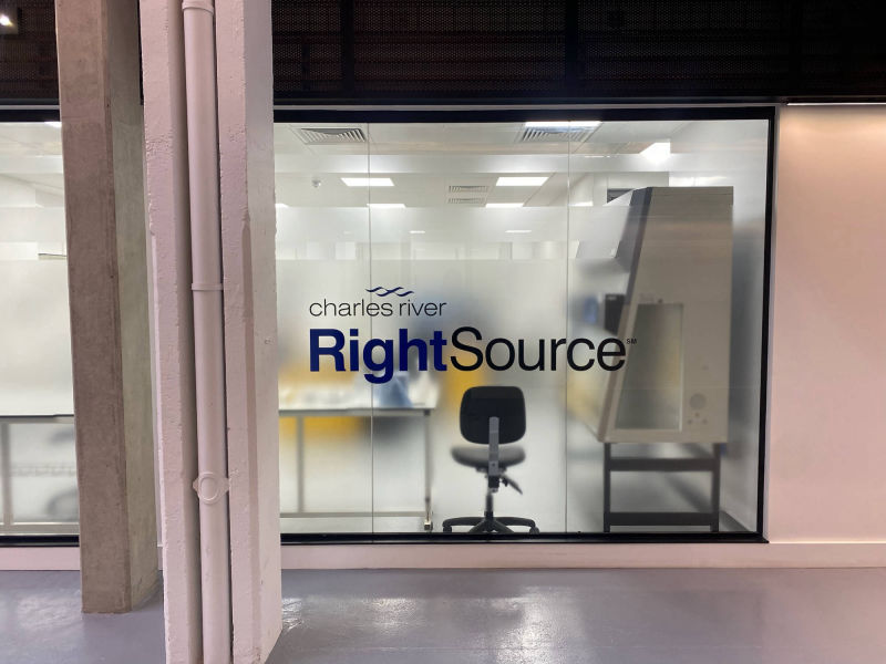 window graphics